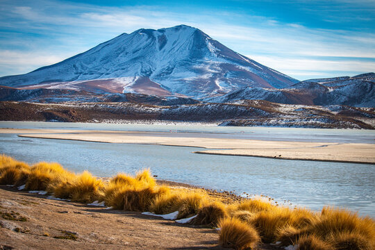 laguna hedionda, volcanic landscape, bolivia, altiplano, flamingos