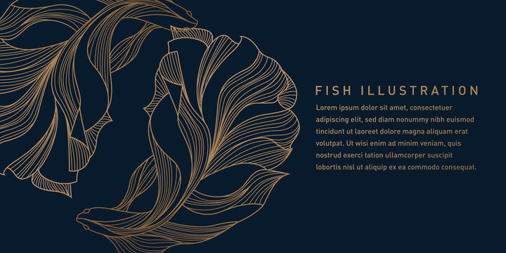 Gold Beta Fish Illustration
