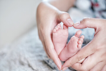 The baby's feet are in the hands of an Asian mother. Concept for love and health.