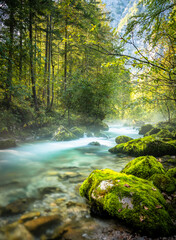 Obraz premium Schöner Bach Wald Panorama Sonnenstrahlen in Österreich Landschaft Natur Moos Fluss Fels Hallstatt Berg Alpen / Beautiful Stream Panorama Sunbeams in Austria Landscape. Nature Moss River Rock Stone 