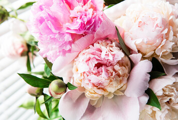 Beautiful pink peony bouquet in a vase.