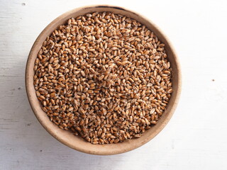 dried wheat germ for grinding flour