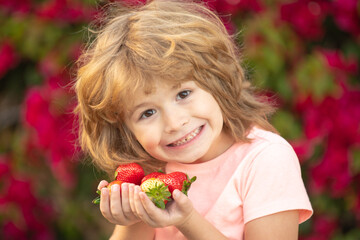 Funny kid hold fresh strawberry. Happy fun child eats strawberries in the summer outdoor.