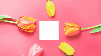 Floral flat lay arrangement bouquets of tulips with green leaves on pink background with an copy space in the center. Mothers day.
