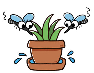 植木鉢に集まる蚊