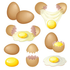 set of brown chicken eggs in different forms isolated on white, fresh eggs collection. Fried and raw eggs, omelet and broken eggshell with whole yolk for breakfast. vector realistic illustration.