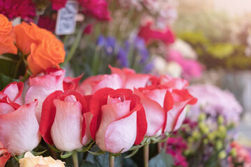 Fototapeta premium Red roses close-up in a flower shop against the background of other plants and flowers. The concept of choosing and buying flowers.
