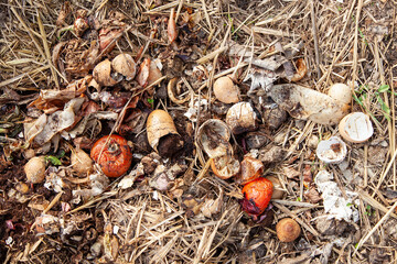 Composting. Pile of composting organic waste. Organic compost heap. Sustainable production of...