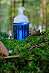 herbal blue potion.Herbal elixir  on a mossy stump on a blurred forest background.Magic Potion....