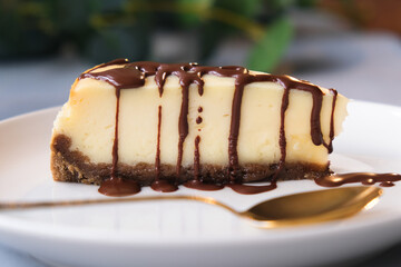 Piece of delicious cheese cake poured chocolate sauce.