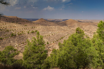 view from the top to the tops of the deser
