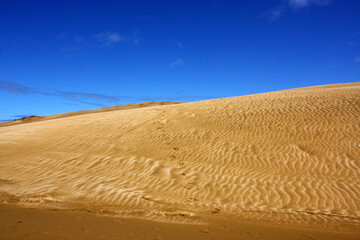 Naklejka premium Sandy hill in the desert, dunes and blue sky background