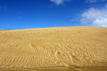 Sandy hill in the desert, dunes and blue sky background