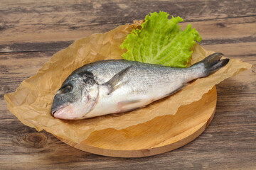 Raw Dorada fish  for cooking