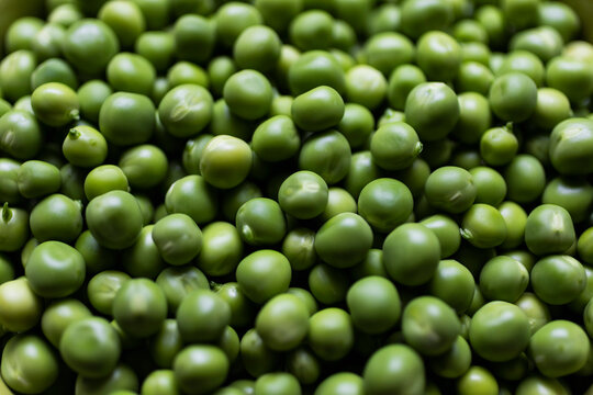 Close up heap of vibrant green hypercium berries
