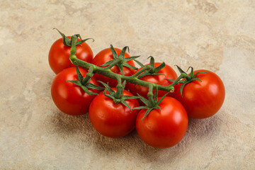 Fresh ripe cherry tomato branch