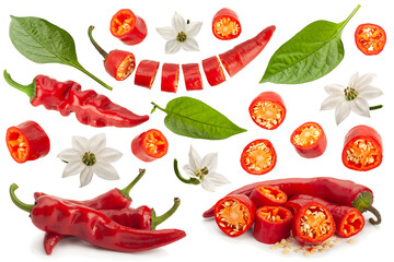 Red chili pepper parts collecttion