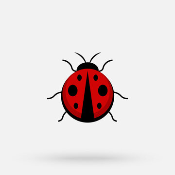Ladybug icon. Flying red bug vector images. Vector simple modern icon design illustration.