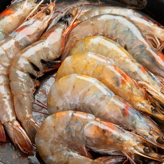 Raw pacific white prawns on dark background. Fresh seafood concept.