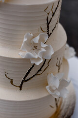 Fototapeta na wymiar white wedding cake