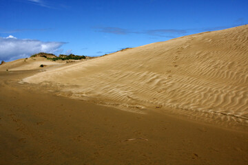 Sandy dunes by the ocean, no people, blue sky, paradise valley