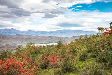 Torres del Paine National Park, Patagonia, Chile,