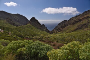 Fototapeta premium landscape with sky