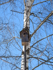 bird house on tree close up