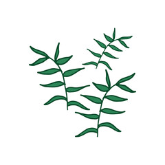 fern leaves on white background. three leaves. green outline, hand drawn vector. nature design template. doodle art for wallpaper, poster, banner, clipart, sticker, logo, label. fresh foliage. 