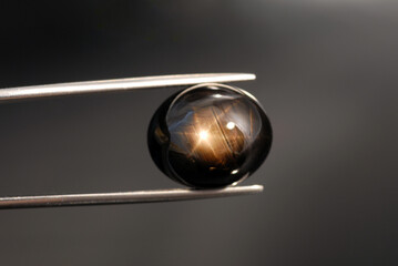 Natural unheated black, brown six 6 rays star sapphire oval cabochon gemstone. Light from window,...