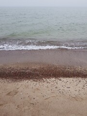 Fog over the surface of the green sea