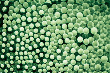 abstract green background