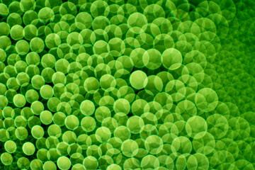 abstract green background