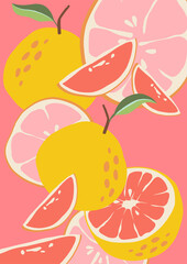 Abstract grapefruit. Composition citrus fresh. Healthy food for vegan in modern style, colorful fruits vector set. illustration for poster, postcard. Wallpaper on the Kitchen or rest. leaflet or menu.