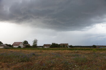 Fototapeta premium European rural landscape, cottage houses on horison and field on sky with heavy cloud at summer day with heavy wind 