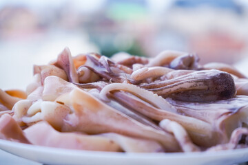 Squid freshly prepared to be cooked. Product photography
