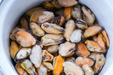 Frozen shells ready to be cooked. Product photography.