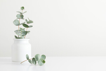 Green eucalyptus leaves in vase on white table. Front view. Place for text, copy space, mockup - Powered by Adobe