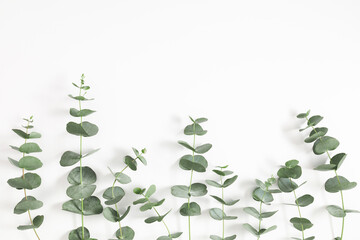 Eucalyptus branches and leaves on white background. Minimal composition of eucalyptus. Flat lay, top view, copy space © prime1001