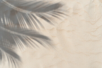 Copy space of shadow palm leaf on sand beach texture background. Summer vacation and holiday relax concept.