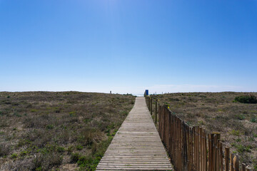 View of a wooden plank path to the beach