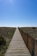 Obraz premium View of a wooden plank path to the beach