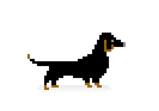 Pixel dog image. cross stitch pattern vector illustration.