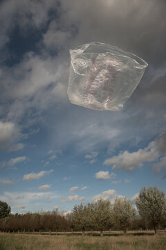 Floating plastic bag in the wind in the sky; environmental pollution 
