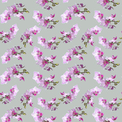 Pink orchid on grey background. Isolated flowers. Seamless floral pattern for fabric, textile, wrapping paper. Tropical flower.