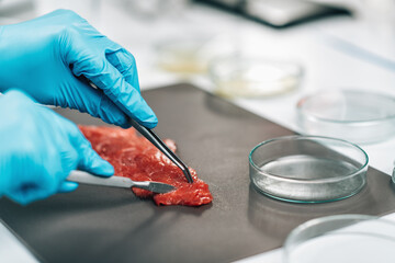 Food Quality Control - Red Meat