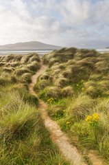 The path in the middle of grass dunes brings at Luskentyre Beach on the Isle of Harris, Outer...
