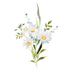 Fototapeta premium Watercolor Daisy bouquet. Chamomile arrangement.
