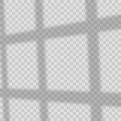 Window light shadow effect on transparent background. Vector