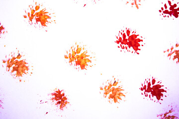 Orange acrylic brushstroke isolated on a white background.